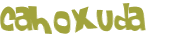 Captcha-Test