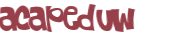 Captcha-Test