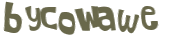 Captcha 챌린지