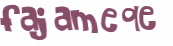 CAPTCHA 挑戰