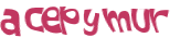 Captcha 챌린지