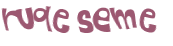 CAPTCHA 挑戰
