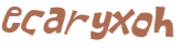 Desafio captcha