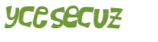 Desafio Captcha