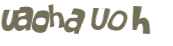 CAPTCHA 挑戰