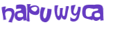 CAPTCHA 挑戰