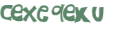Captcha-Test