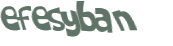 Wyzwanie captcha
