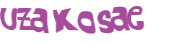 Desafio captcha
