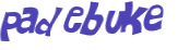 CAPTCHA 挑戰