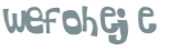 CAPTCHA 挑戰