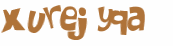 Desafio captcha