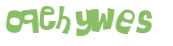 CAPTCHA 挑戰