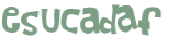 Prueba Captcha