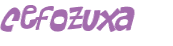CAPTCHA 挑戰