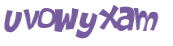 Desafio Captcha