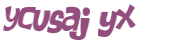 CAPTCHA 挑戰