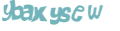 Wyzwanie captcha