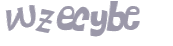 CAPTCHA 挑戰