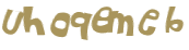 CAPTCHA 挑戰