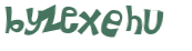 CAPTCHA 挑戰