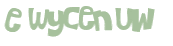 Captcha 챌린지