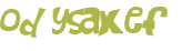 Wyzwanie captcha