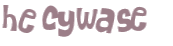 Wyzwanie captcha