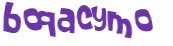CAPTCHA 挑戰
