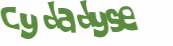 CAPTCHA 挑戰