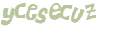 CAPTCHA 挑戰