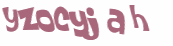 CAPTCHA 挑戰