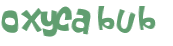Captcha 챌린지