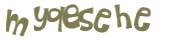 Captcha 챌린지