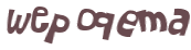 CAPTCHA 挑戰