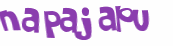 CAPTCHA 挑戰