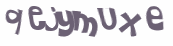 Wyzwanie captcha