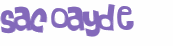 Desafio Captcha