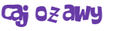 Desafio captcha