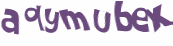 CAPTCHA 挑戰
