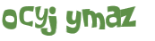 CAPTCHA 挑戰