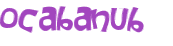 CAPTCHA 挑戰