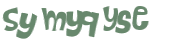 Captcha-Test