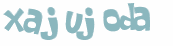 CAPTCHA 挑戰