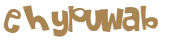 Captcha 챌린지