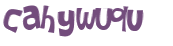 Wyzwanie captcha