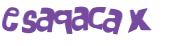 CAPTCHA 挑戰