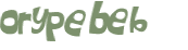 CAPTCHA 挑戰