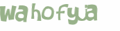 Wyzwanie captcha