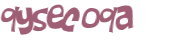 Captcha 챌린지